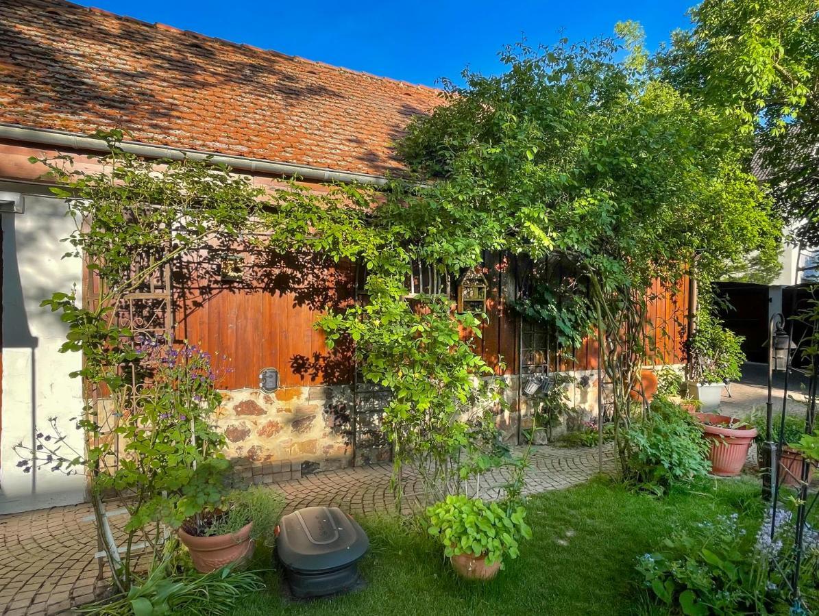 Ferienhaus Burgblick Munzenberg Exterior photo